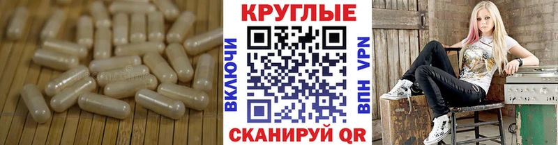Ecstasy круглые  darknet наркотические препараты  Елизово  ОМГ ОМГ как зайти 