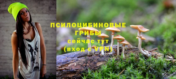 марки nbome Гусев