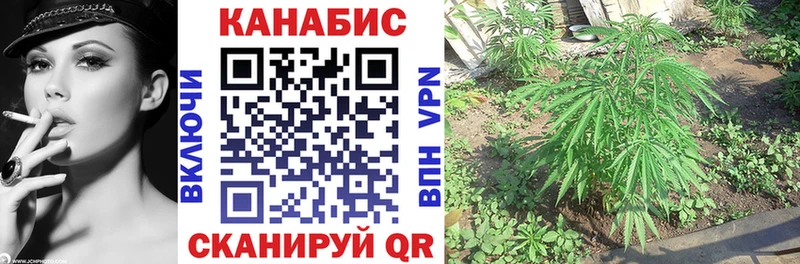 где можно купить   Елизово  Бошки марихуана OG Kush 